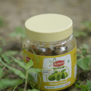 Parampara Premium Kacha Aam (Mango) Pickle - Home Style